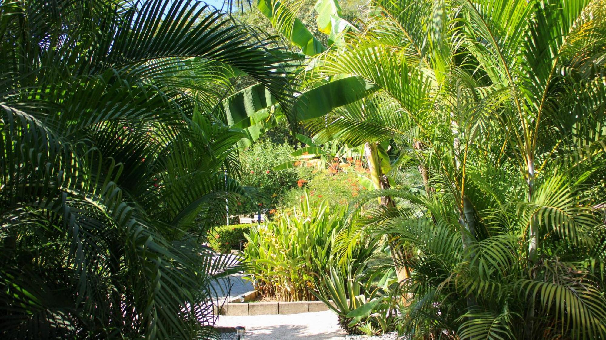 Tee-K Lodge Tamarindo Exterior photo